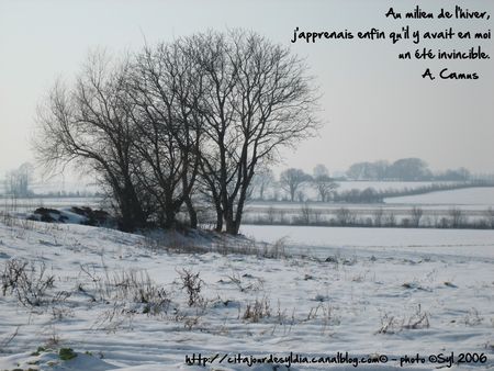 2011_D_ETE