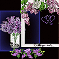 &auriol6