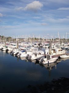 DSCF8185