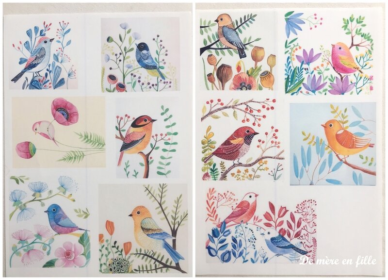 les oiseaux mignons 1