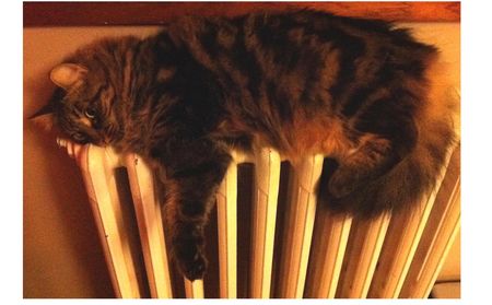 mooli_radiateur2