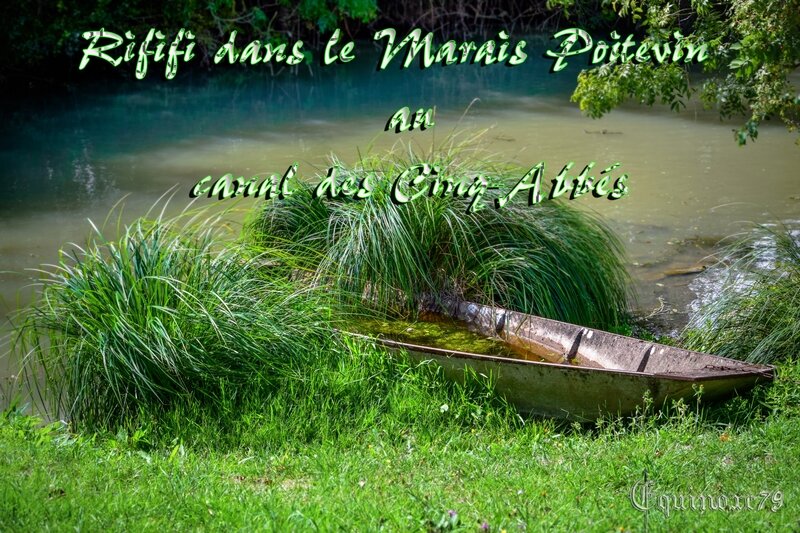 canal des Cinq-Abbés Marais Poitevin entre les religieux de l’Abbaye Maillezais et des habitants de Chaillé-les-Marais, contre les religieux de Notre-Dame de Moreilles