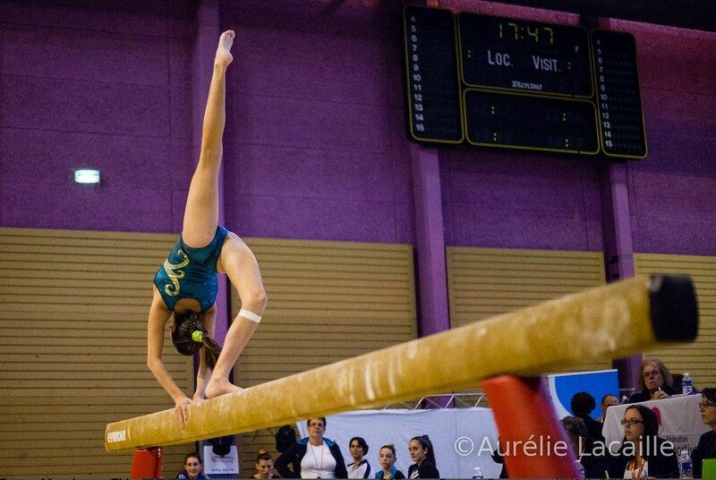 Les AGRES de la GAF : les BARRES ASYMETRIQUES - Les Hirondelles de  Villefranche - Gymnastique