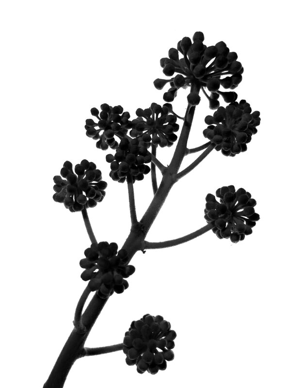 P1140277