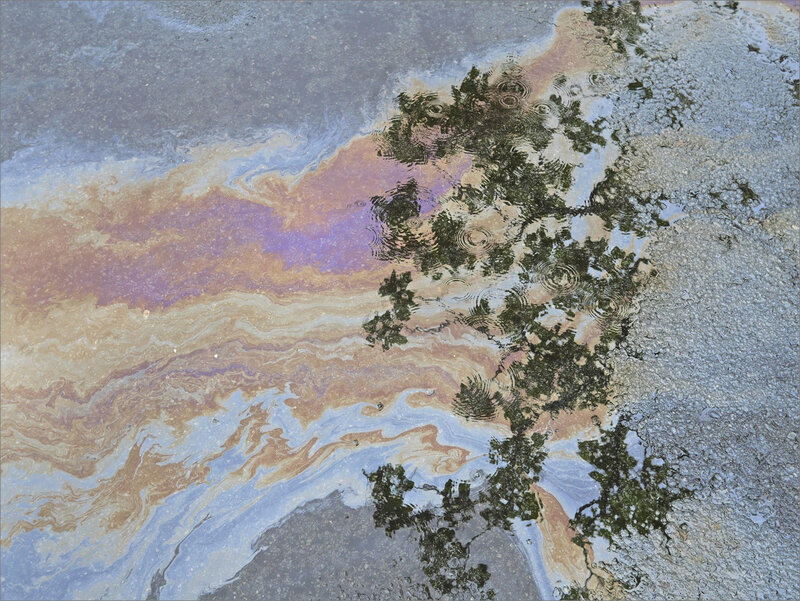 hydrocarbures sol déchets reflets arbres pluie 180819 1