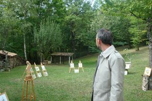 DSC06049
