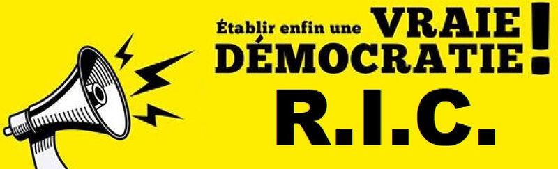 ob_8c34b9_ric-vraie-democratie