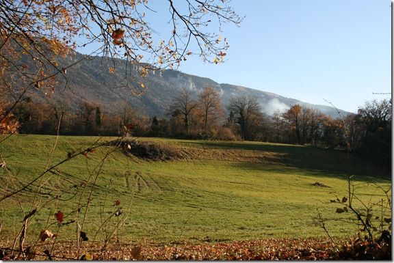 2010c_9999_2