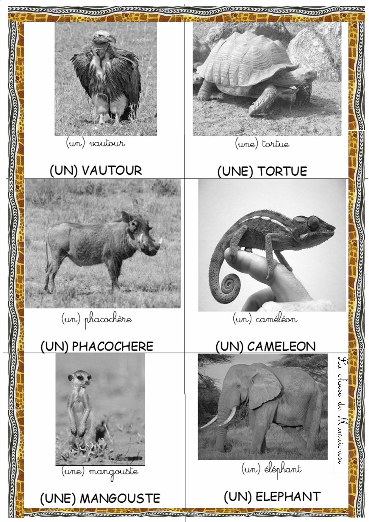 Loto Des Animaux D Afrique La Classe De Mamaicress