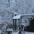 IMG_3102