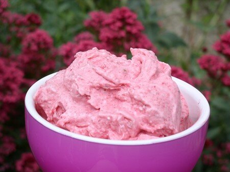 creme_glacee_express2_groseilles