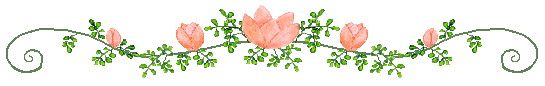 jxmk5e3c
