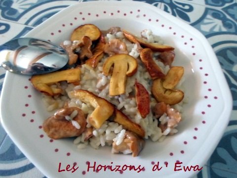 risotto_girolles_oronges