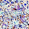 DaisyFields003