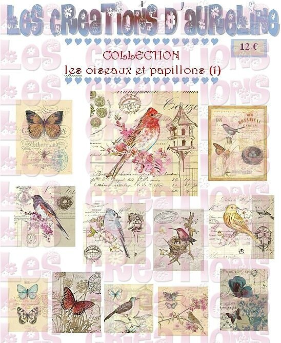 pochette oiseaux et papillons 1