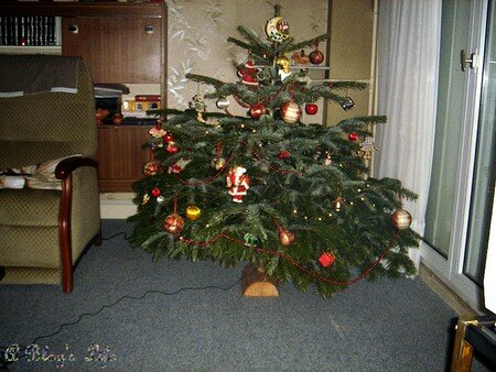 No_l_2006_033_copie