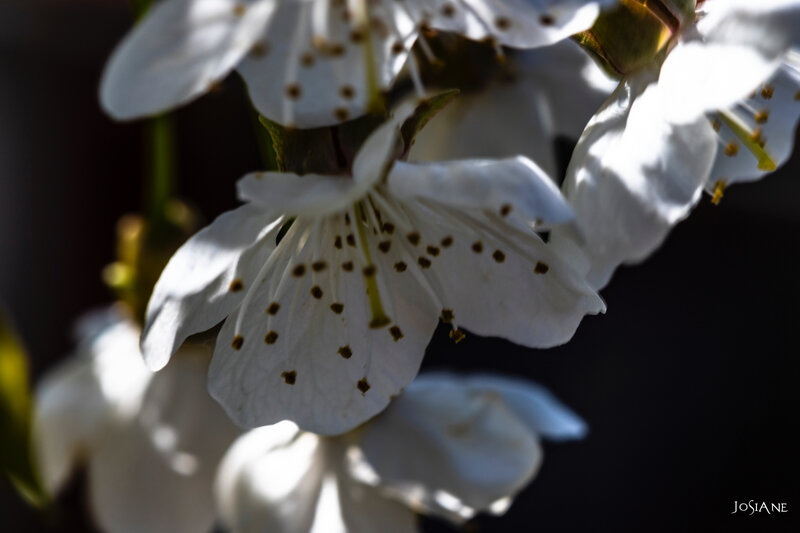 22032019-_MG_5065