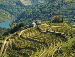 rhone