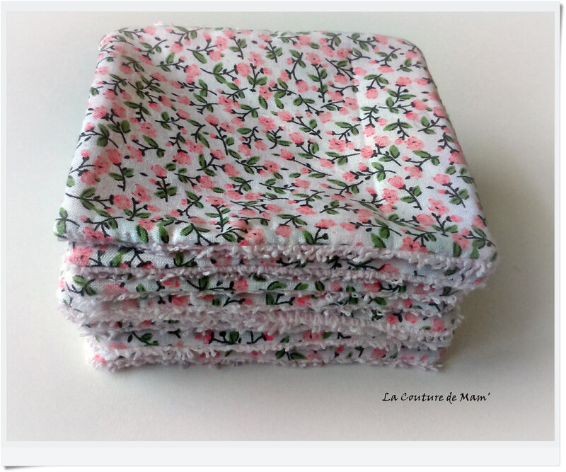 Série de lingettes (1)
