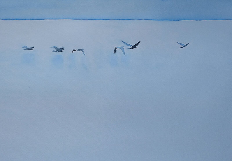 le silence des oiseaux, aquarelle avril 2018