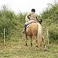 équitation de pleine nature - rallye équestre (90)
