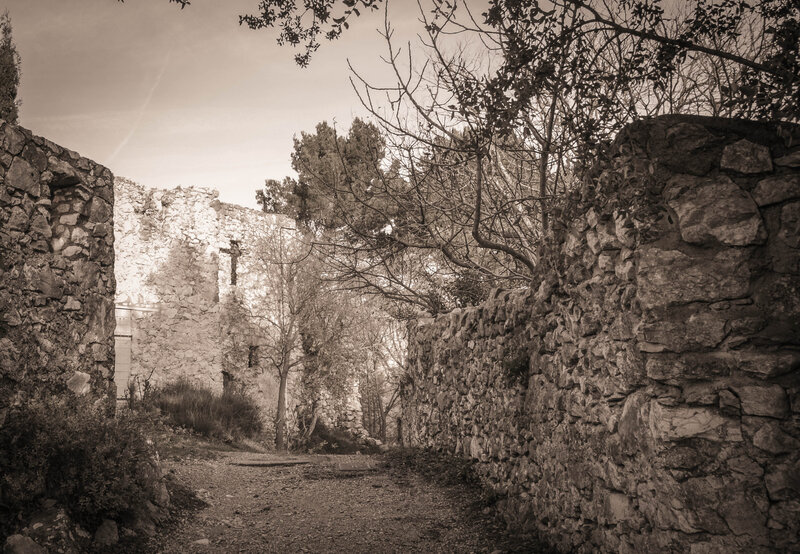 DSC_5883
