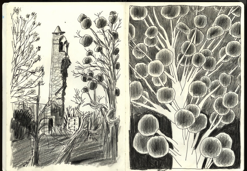 carnet baraque walden 3