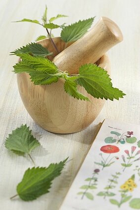 se-soigner-par-les-plantes