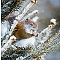 hiver&a