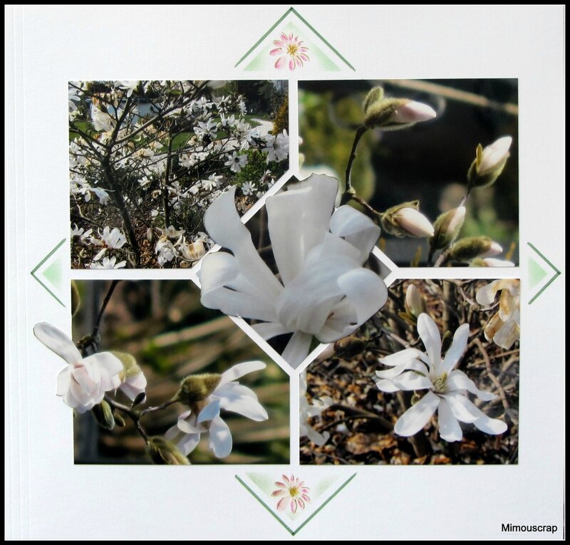 Jardin 2012 001