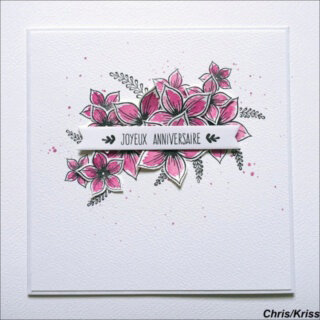 02_25_Kriss