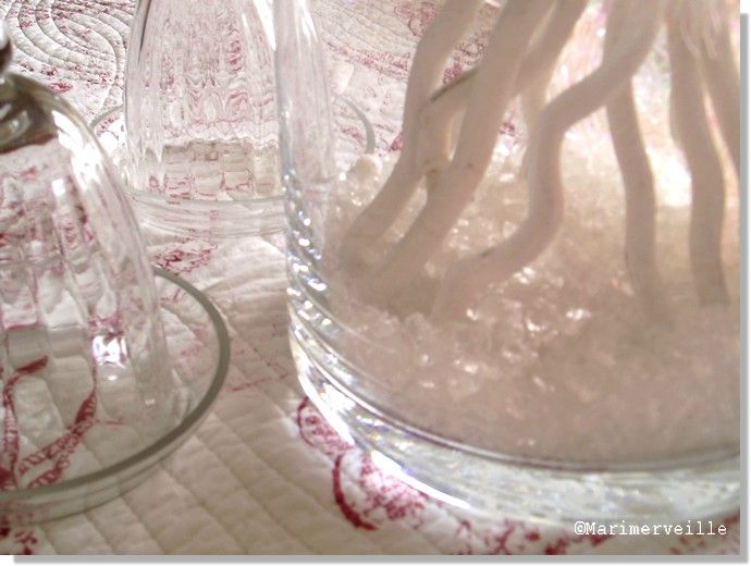 verre