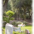 Shabby romantic