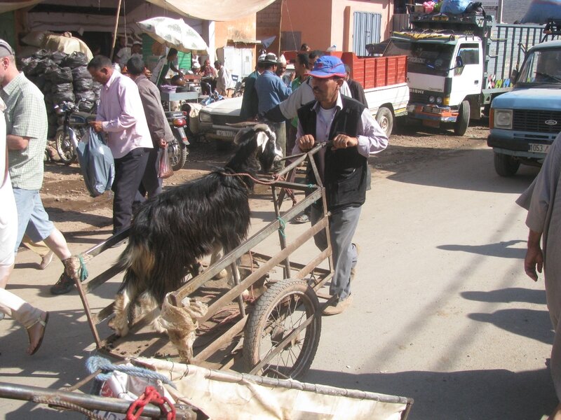 souk Tnine Ourika -Aid (9)