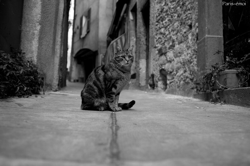 IMG_2295 - Version 2
