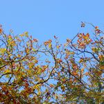 2012-09-3024