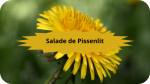 2 pissenlit(4) Salade de Pissenlit-modified