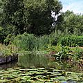 08-2013 Amiens - hortillonnages en barque