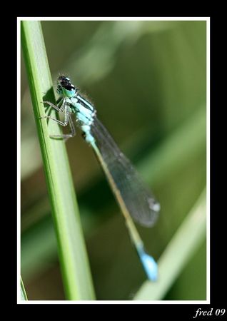 IMG_0697_sign_e