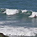 IMG_8187