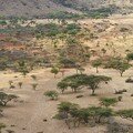 RÉGION OROMIA