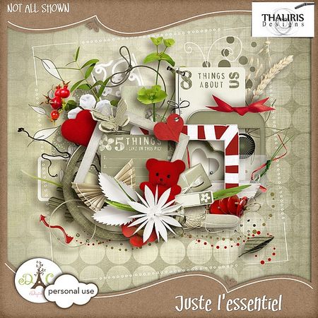 4a___Juste_l_essentiel