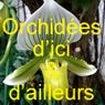 LES ORCHIDÉES D'ICI ET D'AILLEURS