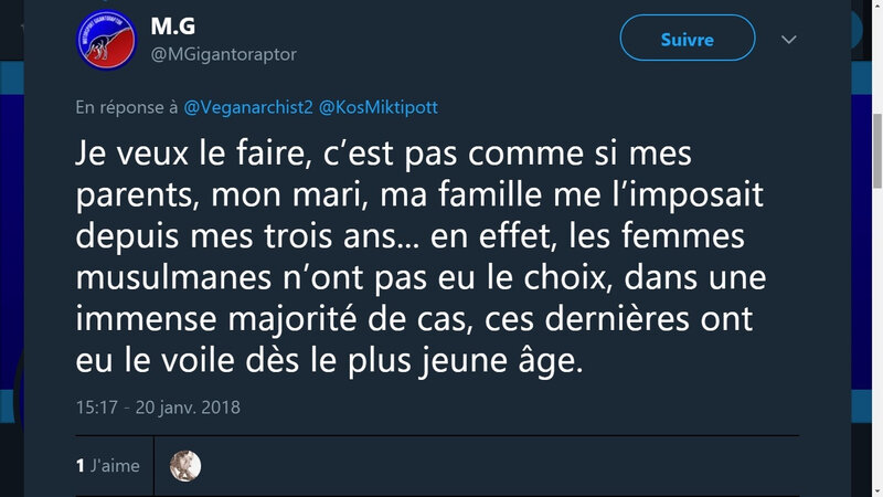 AurelienEnthovenVoileImposé