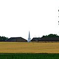 _IGP7377