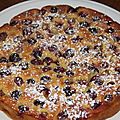 Gateau moelleux aux raisins noirs et aux pommes