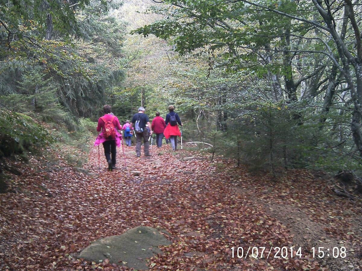 Randonnée du 7 octobre La Rivière Noire (Loire) Randonnées Sportives en Montagne Bourbonnaise
