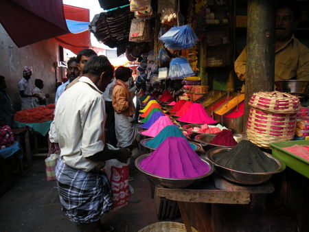 Mysore___Calicut___arriv_e_Cochin_313