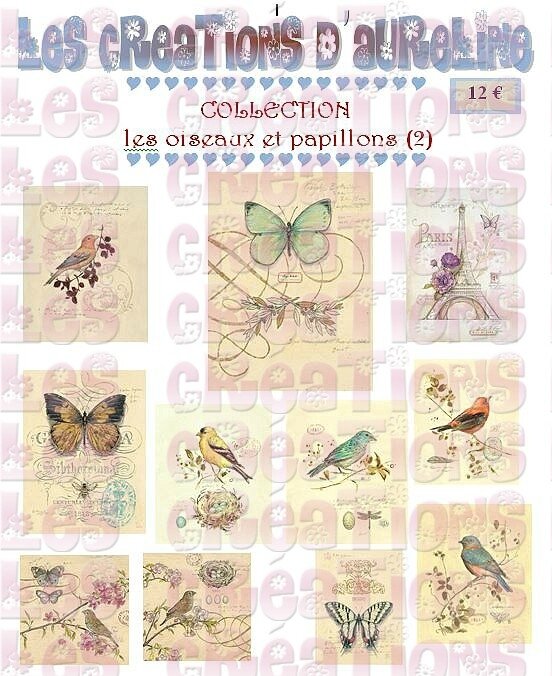 pochette oiseaux et papillons 2