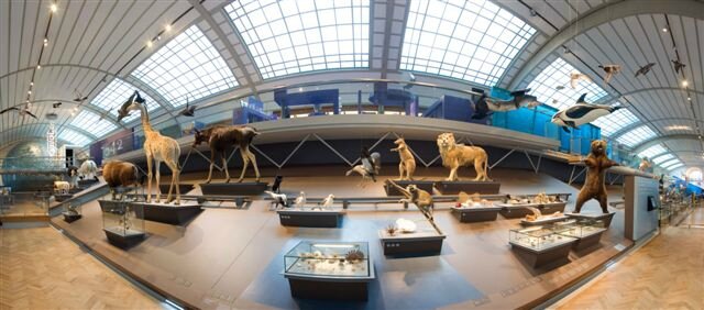 Galerie de l'Evolution ©Th.Hubin-Muséum